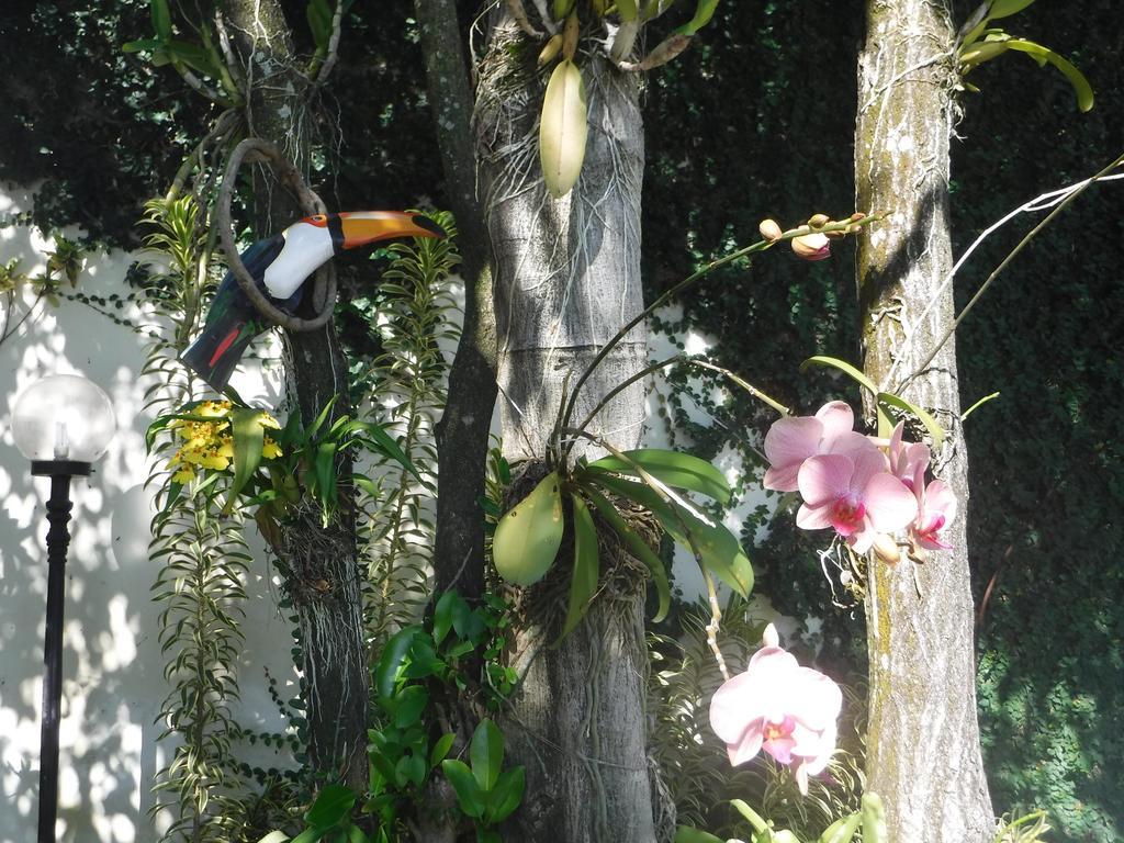 Hotel Nature Paradise Boutique